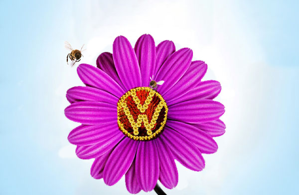 VW - Spring Minor Service Offer